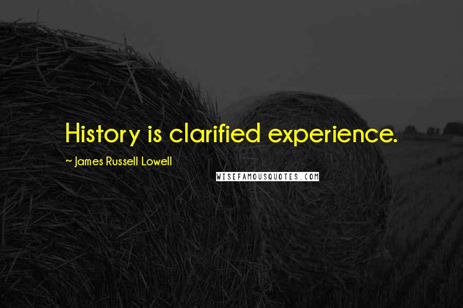 James Russell Lowell Quotes: History is clarified experience.