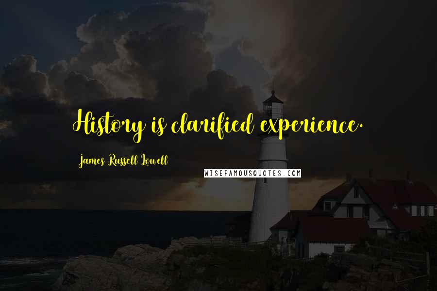 James Russell Lowell Quotes: History is clarified experience.