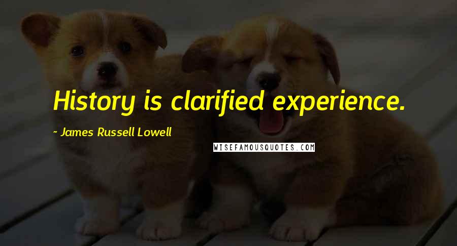 James Russell Lowell Quotes: History is clarified experience.