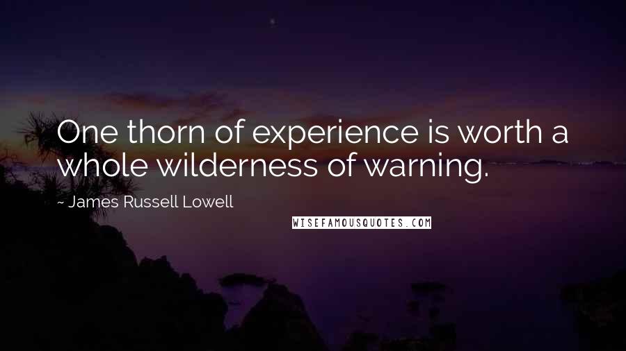 James Russell Lowell Quotes: One thorn of experience is worth a whole wilderness of warning.