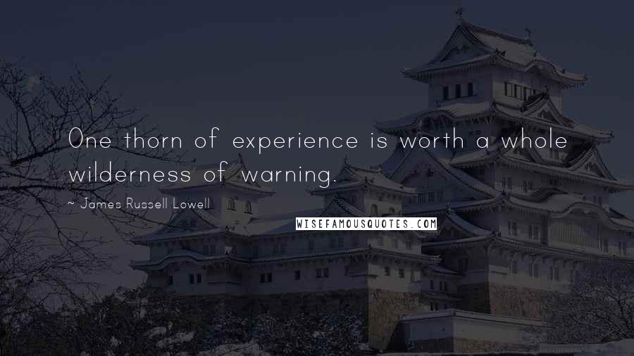 James Russell Lowell Quotes: One thorn of experience is worth a whole wilderness of warning.