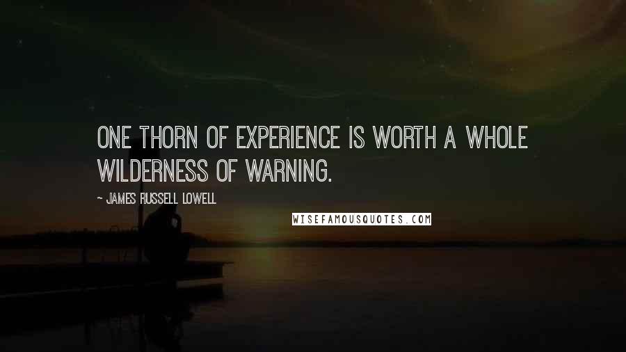 James Russell Lowell Quotes: One thorn of experience is worth a whole wilderness of warning.