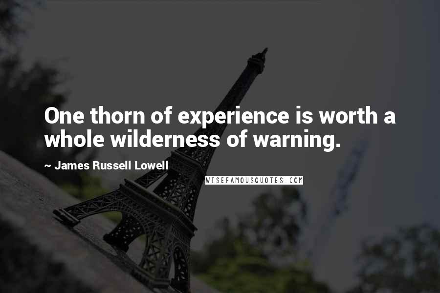 James Russell Lowell Quotes: One thorn of experience is worth a whole wilderness of warning.