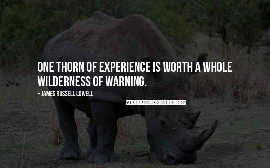 James Russell Lowell Quotes: One thorn of experience is worth a whole wilderness of warning.