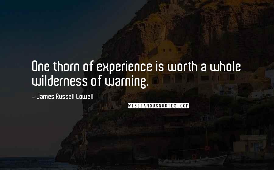 James Russell Lowell Quotes: One thorn of experience is worth a whole wilderness of warning.