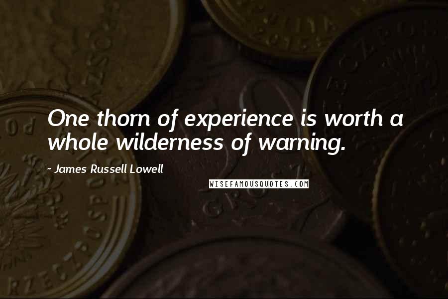 James Russell Lowell Quotes: One thorn of experience is worth a whole wilderness of warning.
