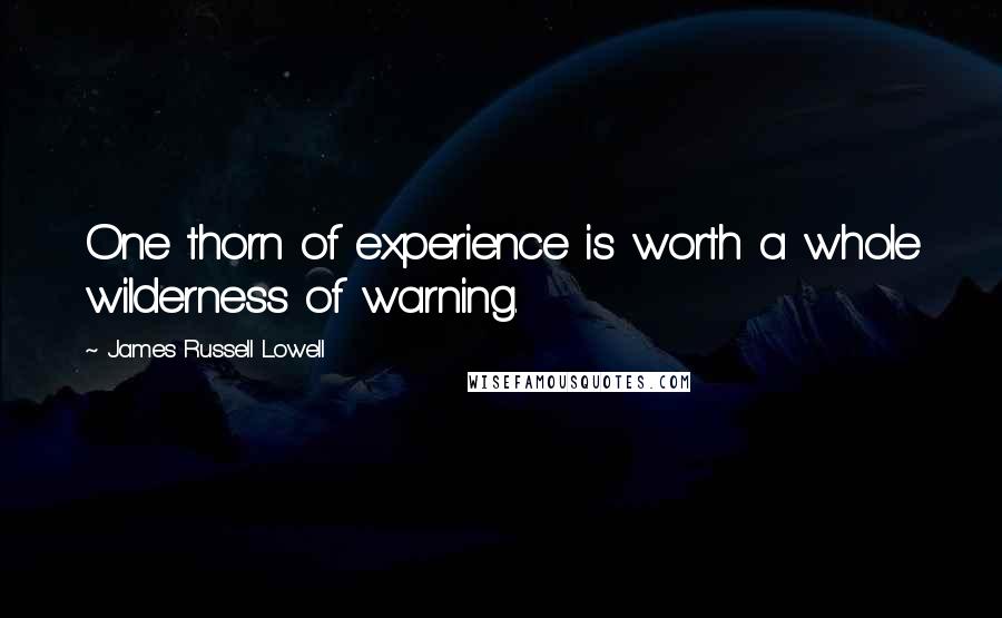 James Russell Lowell Quotes: One thorn of experience is worth a whole wilderness of warning.