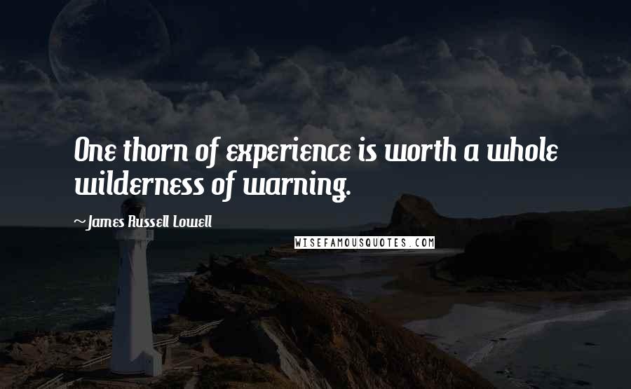 James Russell Lowell Quotes: One thorn of experience is worth a whole wilderness of warning.
