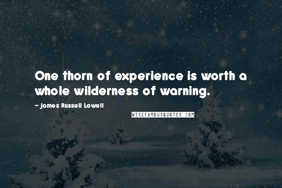 James Russell Lowell Quotes: One thorn of experience is worth a whole wilderness of warning.