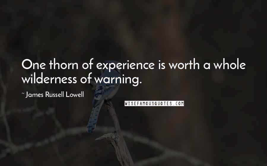 James Russell Lowell Quotes: One thorn of experience is worth a whole wilderness of warning.