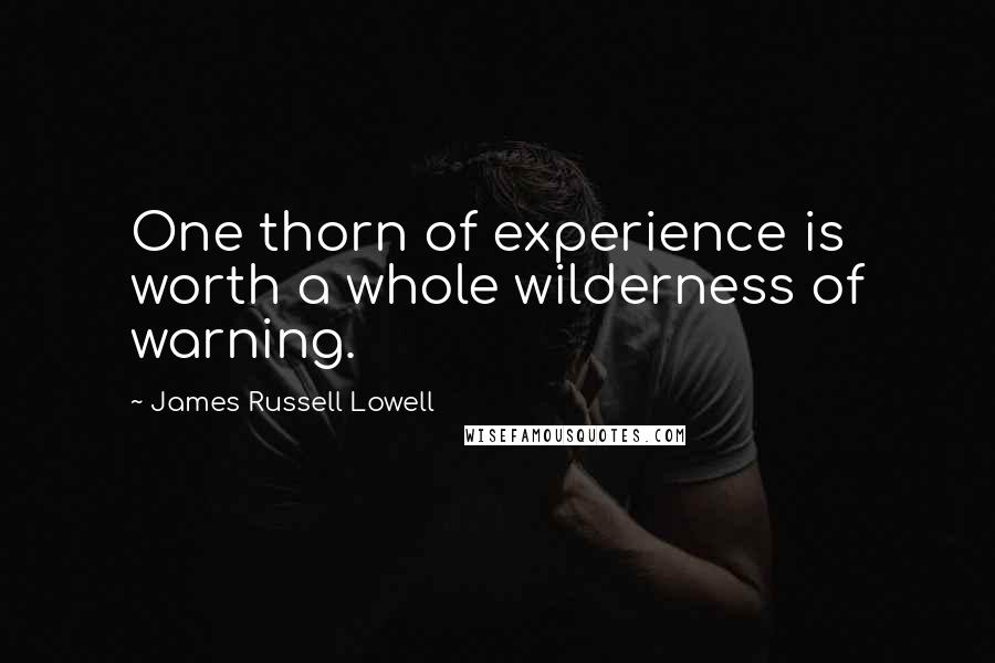 James Russell Lowell Quotes: One thorn of experience is worth a whole wilderness of warning.