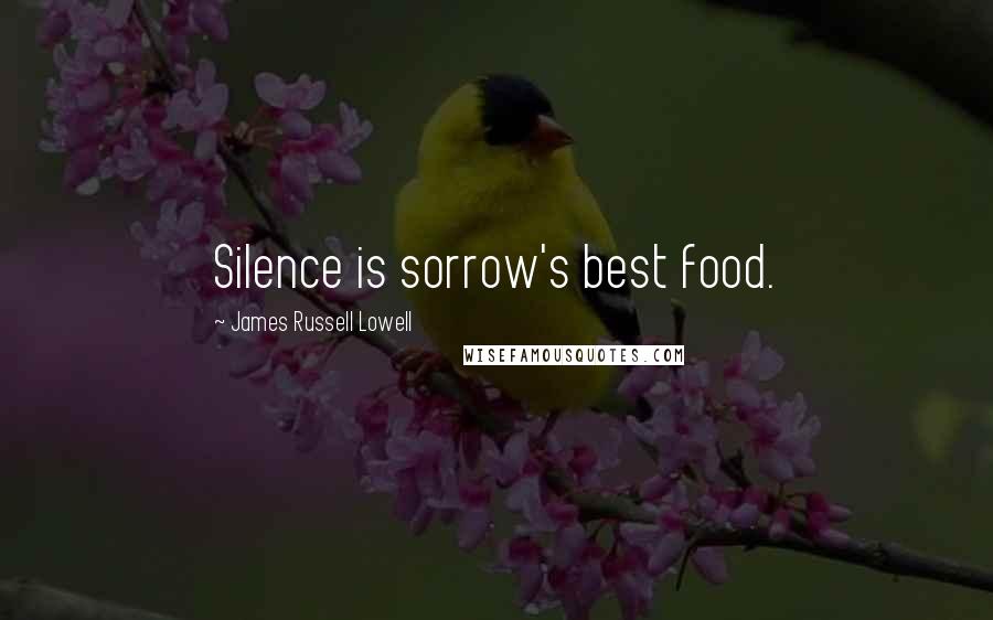 James Russell Lowell Quotes: Silence is sorrow's best food.