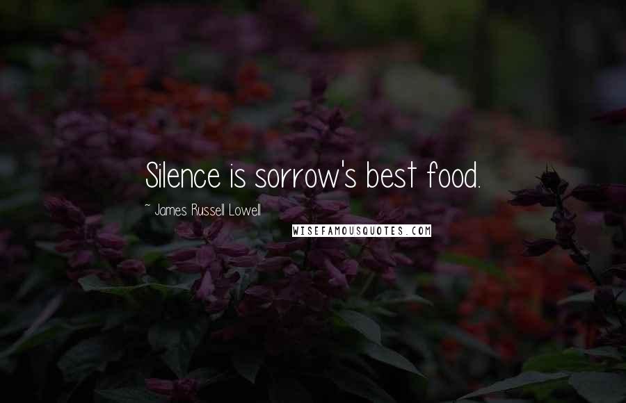 James Russell Lowell Quotes: Silence is sorrow's best food.