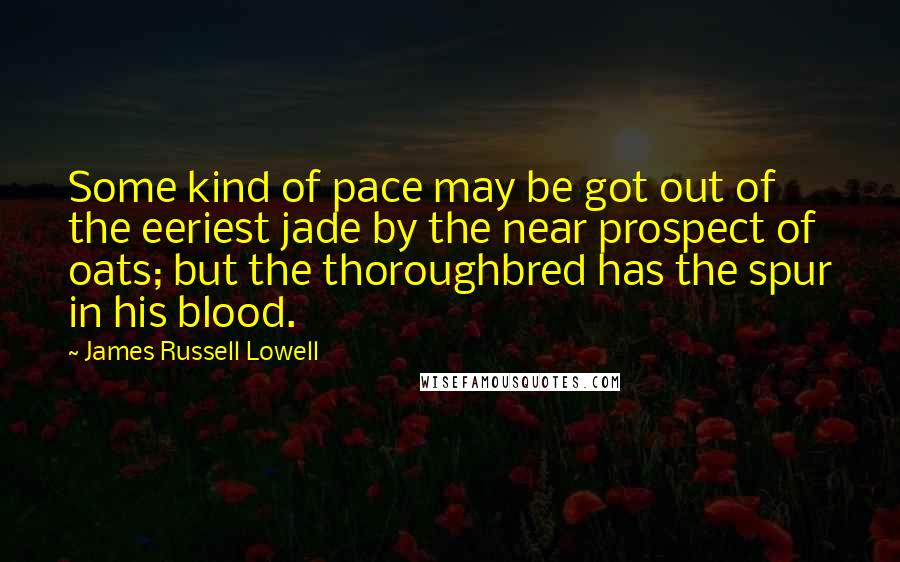 James Russell Lowell Quotes: Some kind of pace may be got out of the eeriest jade by the near prospect of oats; but the thoroughbred has the spur in his blood.