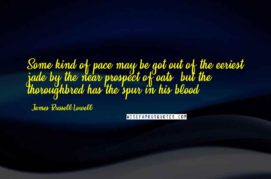 James Russell Lowell Quotes: Some kind of pace may be got out of the eeriest jade by the near prospect of oats; but the thoroughbred has the spur in his blood.