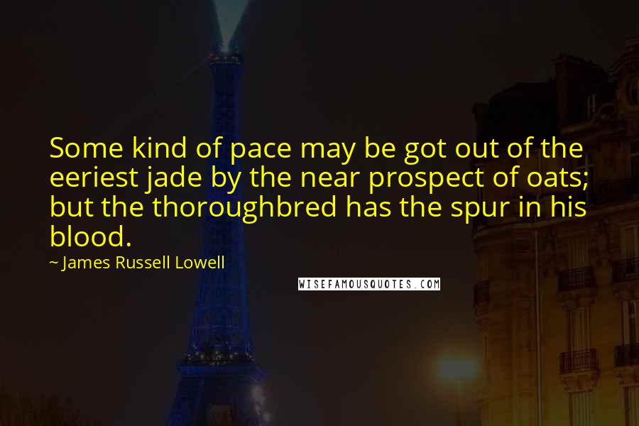 James Russell Lowell Quotes: Some kind of pace may be got out of the eeriest jade by the near prospect of oats; but the thoroughbred has the spur in his blood.