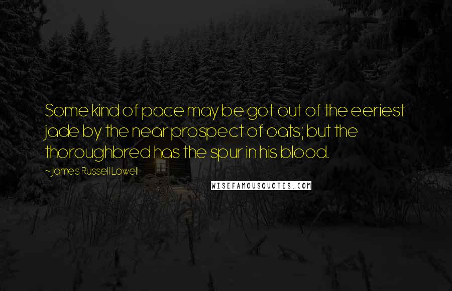 James Russell Lowell Quotes: Some kind of pace may be got out of the eeriest jade by the near prospect of oats; but the thoroughbred has the spur in his blood.