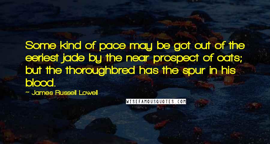 James Russell Lowell Quotes: Some kind of pace may be got out of the eeriest jade by the near prospect of oats; but the thoroughbred has the spur in his blood.