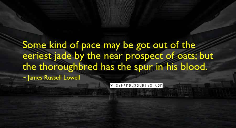 James Russell Lowell Quotes: Some kind of pace may be got out of the eeriest jade by the near prospect of oats; but the thoroughbred has the spur in his blood.