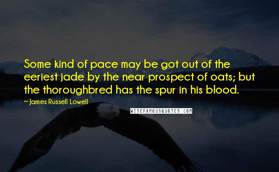 James Russell Lowell Quotes: Some kind of pace may be got out of the eeriest jade by the near prospect of oats; but the thoroughbred has the spur in his blood.