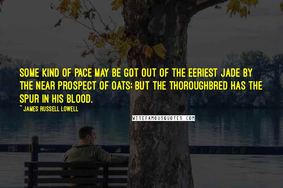James Russell Lowell Quotes: Some kind of pace may be got out of the eeriest jade by the near prospect of oats; but the thoroughbred has the spur in his blood.