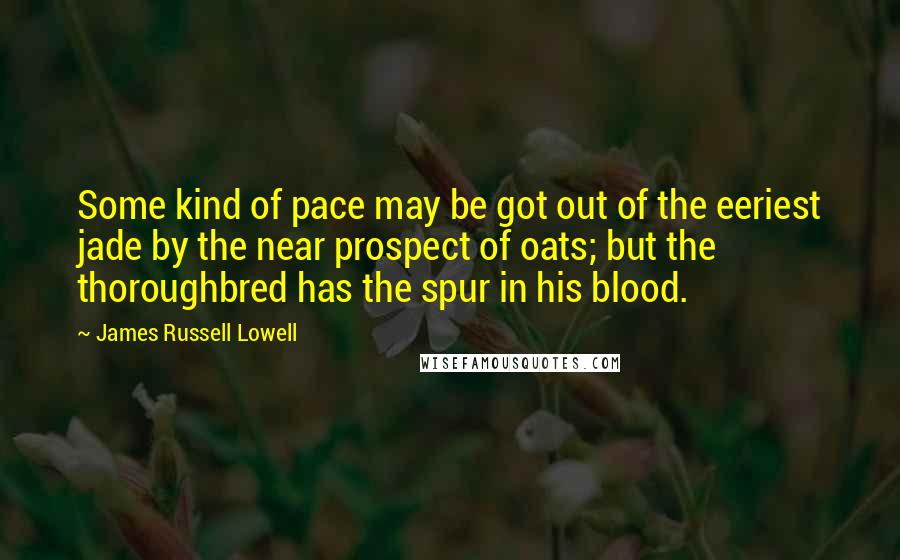 James Russell Lowell Quotes: Some kind of pace may be got out of the eeriest jade by the near prospect of oats; but the thoroughbred has the spur in his blood.