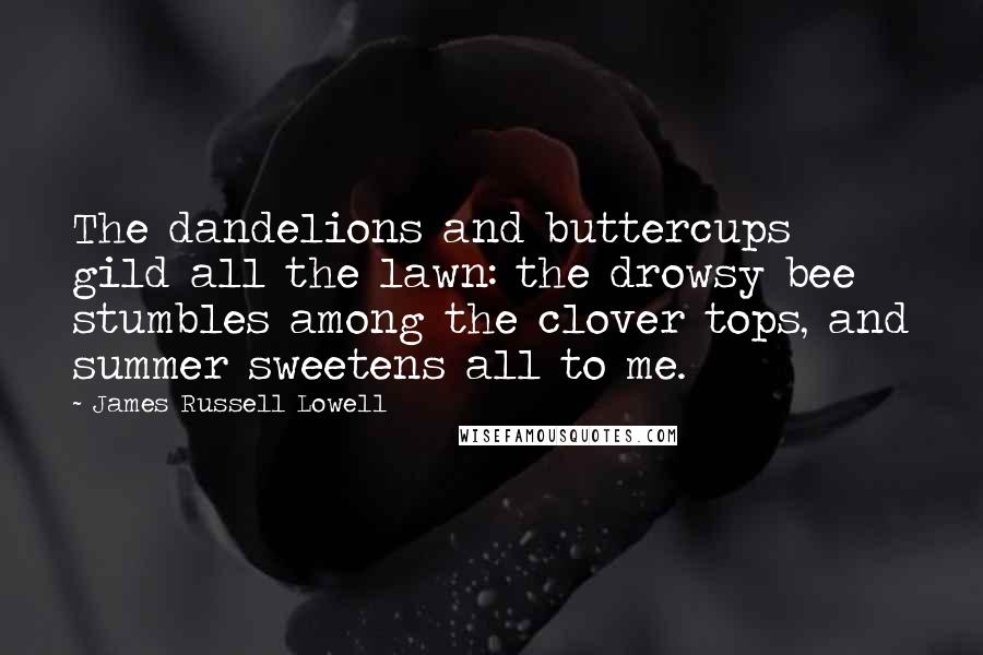 James Russell Lowell Quotes: The dandelions and buttercups gild all the lawn: the drowsy bee stumbles among the clover tops, and summer sweetens all to me.