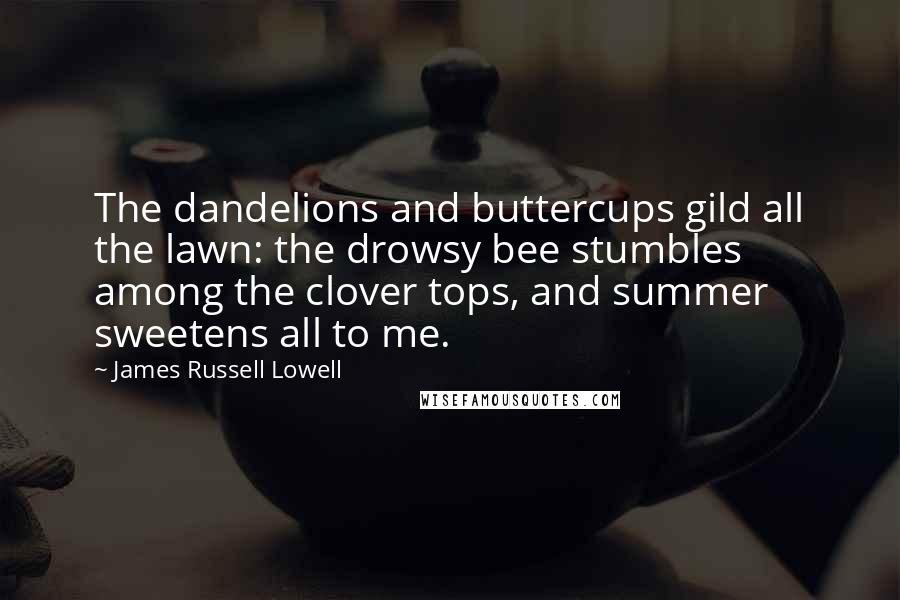 James Russell Lowell Quotes: The dandelions and buttercups gild all the lawn: the drowsy bee stumbles among the clover tops, and summer sweetens all to me.