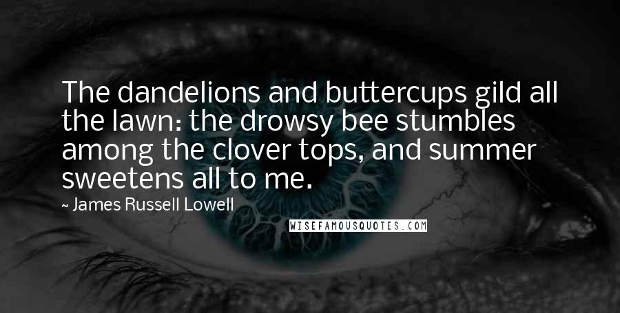 James Russell Lowell Quotes: The dandelions and buttercups gild all the lawn: the drowsy bee stumbles among the clover tops, and summer sweetens all to me.