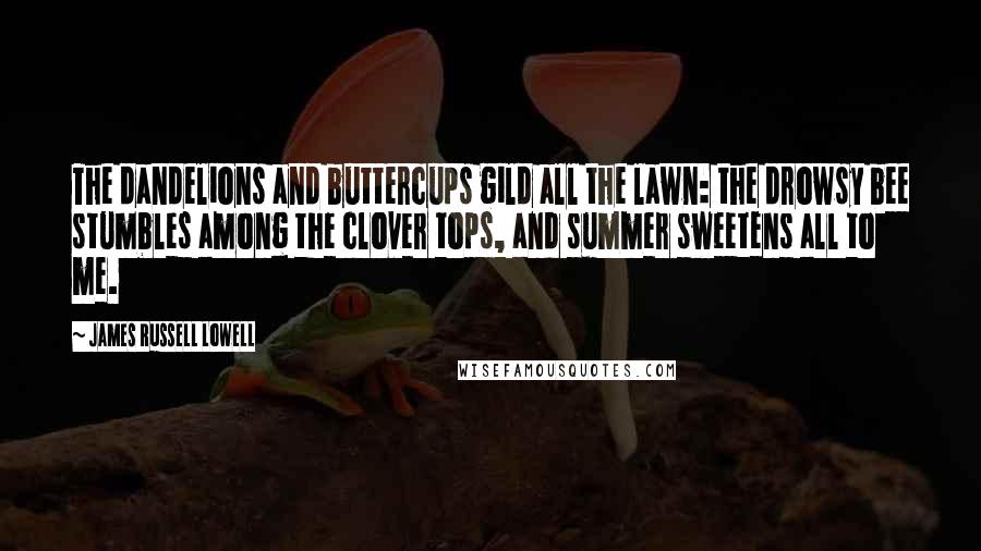 James Russell Lowell Quotes: The dandelions and buttercups gild all the lawn: the drowsy bee stumbles among the clover tops, and summer sweetens all to me.