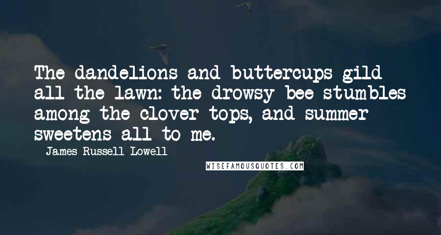 James Russell Lowell Quotes: The dandelions and buttercups gild all the lawn: the drowsy bee stumbles among the clover tops, and summer sweetens all to me.