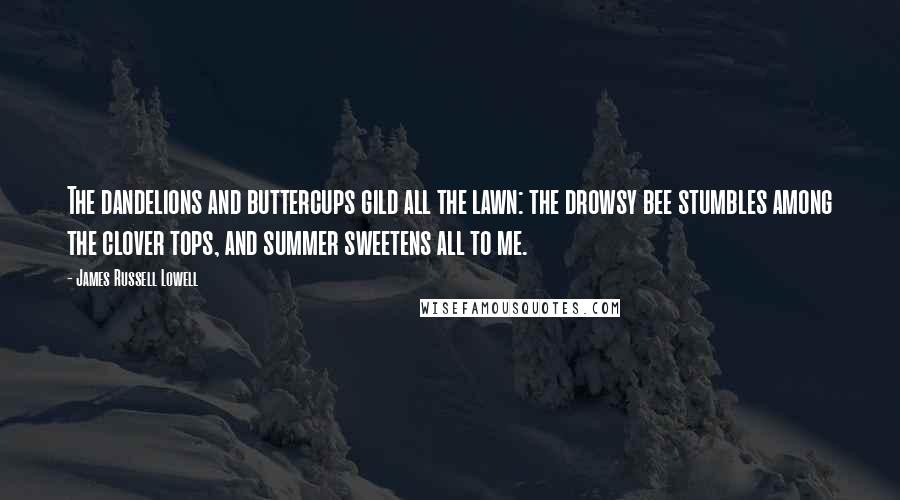 James Russell Lowell Quotes: The dandelions and buttercups gild all the lawn: the drowsy bee stumbles among the clover tops, and summer sweetens all to me.