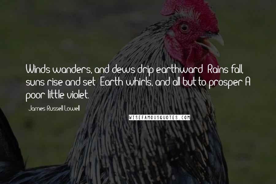 James Russell Lowell Quotes: Winds wanders, and dews drip earthward; Rains fall, suns rise and set; Earth whirls, and all but to prosper A poor little violet.