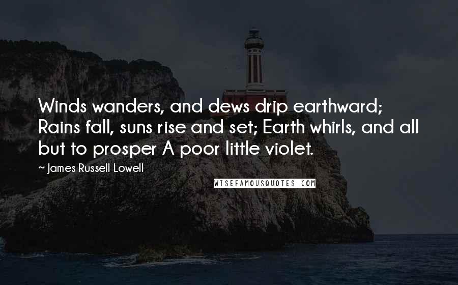 James Russell Lowell Quotes: Winds wanders, and dews drip earthward; Rains fall, suns rise and set; Earth whirls, and all but to prosper A poor little violet.