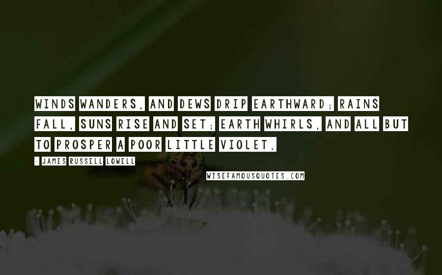 James Russell Lowell Quotes: Winds wanders, and dews drip earthward; Rains fall, suns rise and set; Earth whirls, and all but to prosper A poor little violet.