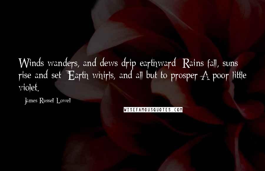James Russell Lowell Quotes: Winds wanders, and dews drip earthward; Rains fall, suns rise and set; Earth whirls, and all but to prosper A poor little violet.