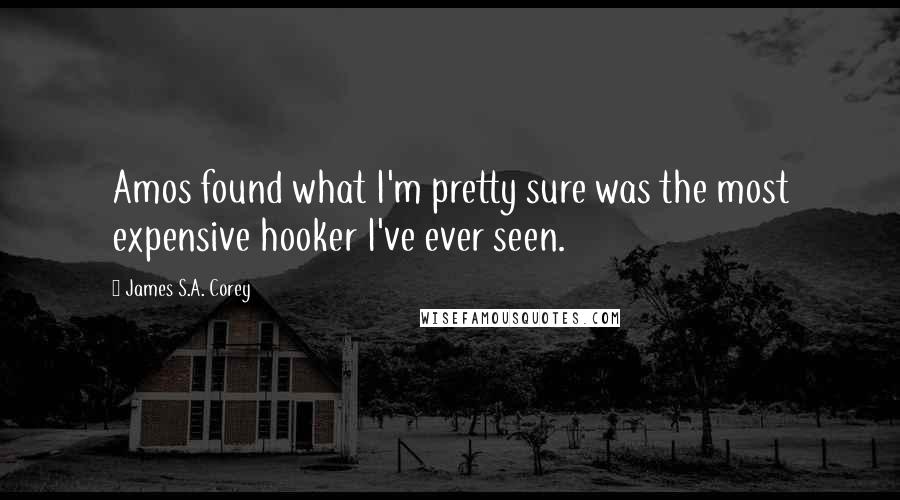 James S.A. Corey Quotes: Amos found what I'm pretty sure was the most expensive hooker I've ever seen.