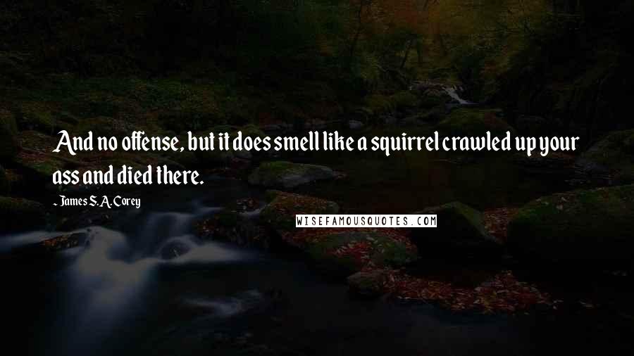 James S.A. Corey Quotes: And no offense, but it does smell like a squirrel crawled up your ass and died there.