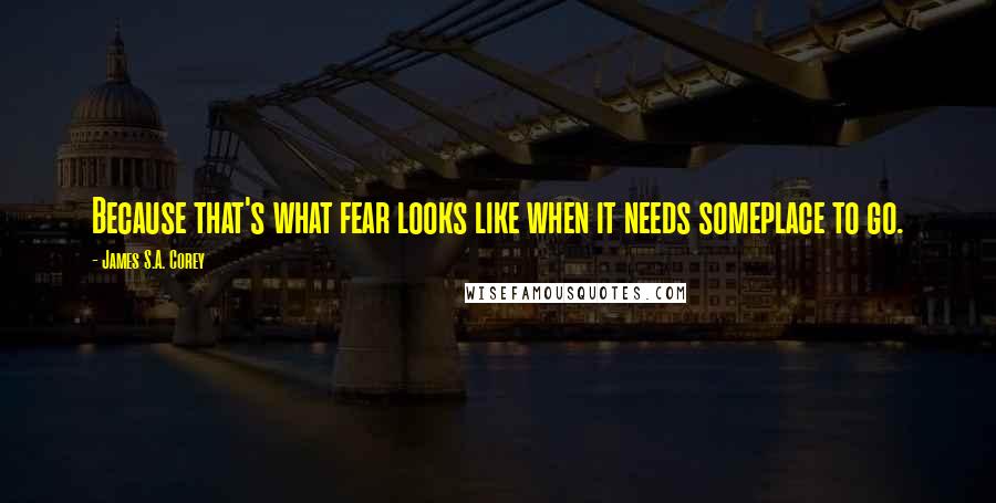 James S.A. Corey Quotes: Because that's what fear looks like when it needs someplace to go.