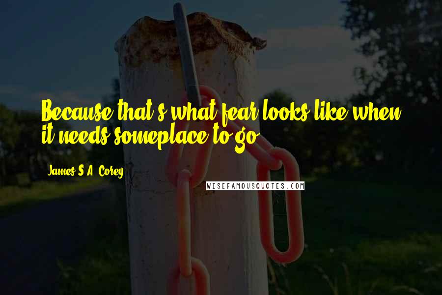James S.A. Corey Quotes: Because that's what fear looks like when it needs someplace to go.
