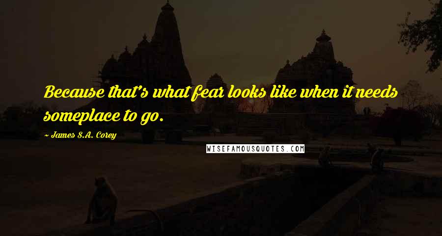 James S.A. Corey Quotes: Because that's what fear looks like when it needs someplace to go.