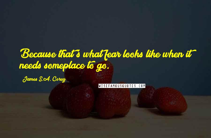 James S.A. Corey Quotes: Because that's what fear looks like when it needs someplace to go.