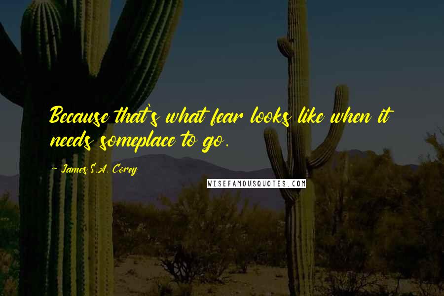 James S.A. Corey Quotes: Because that's what fear looks like when it needs someplace to go.