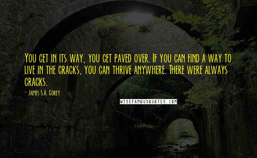 James S.A. Corey Quotes: You get in its way, you get paved over. If you can find a way to live in the cracks, you can thrive anywhere. There were always cracks.