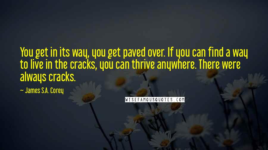 James S.A. Corey Quotes: You get in its way, you get paved over. If you can find a way to live in the cracks, you can thrive anywhere. There were always cracks.