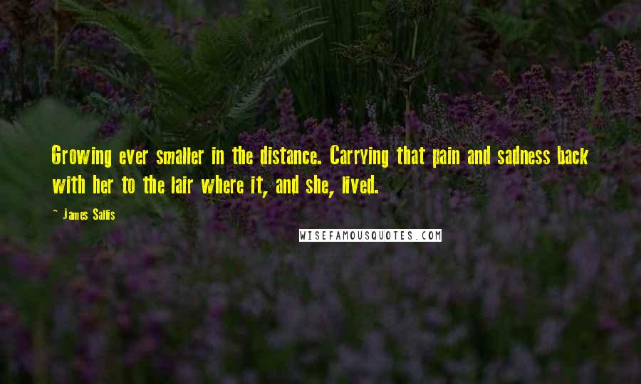James Sallis Quotes: Growing ever smaller in the distance. Carrying that pain and sadness back with her to the lair where it, and she, lived.