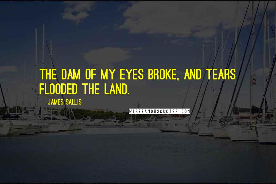 James Sallis Quotes: The dam of my eyes broke, and tears flooded the land.