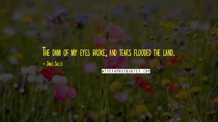 James Sallis Quotes: The dam of my eyes broke, and tears flooded the land.