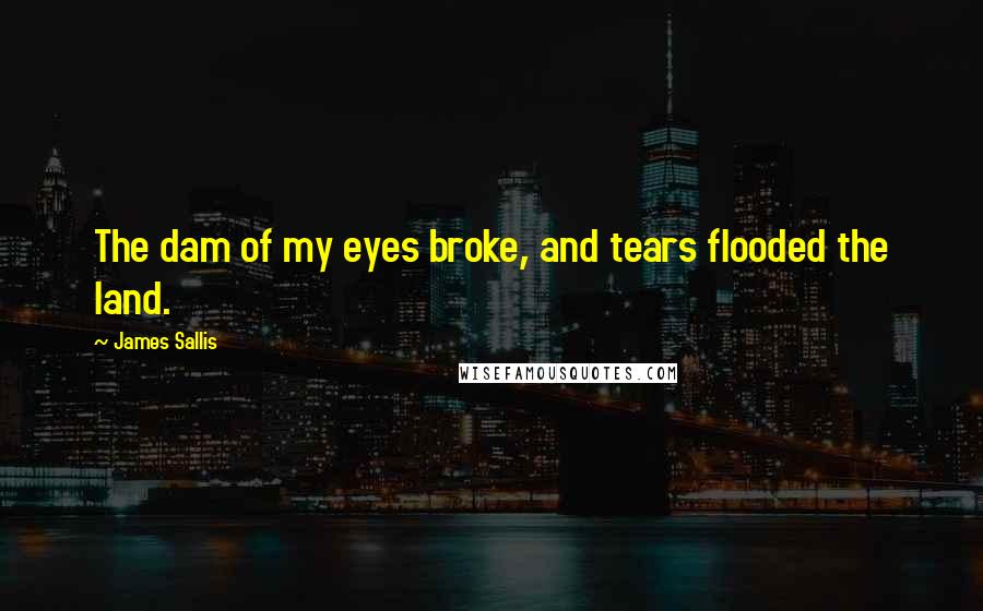 James Sallis Quotes: The dam of my eyes broke, and tears flooded the land.