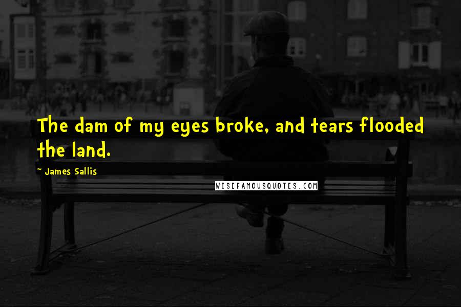 James Sallis Quotes: The dam of my eyes broke, and tears flooded the land.